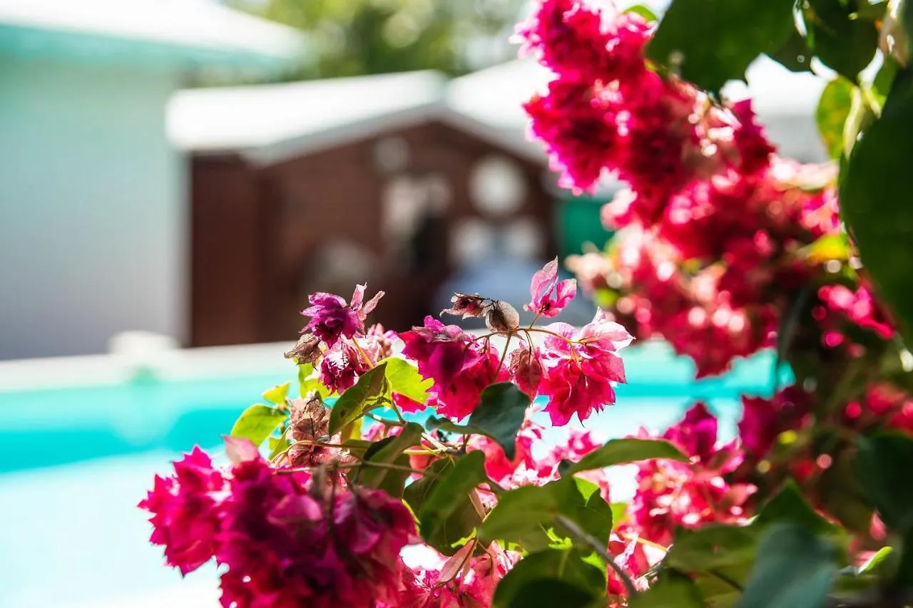 Villa La Plumeria Saint-Francois  Guadeloupe