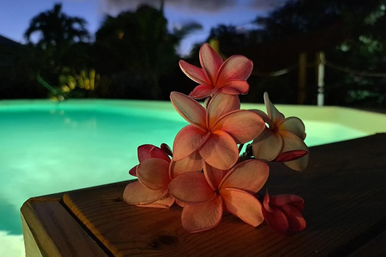 Villa La Plumeria Saint-Francois  Guadeloupe