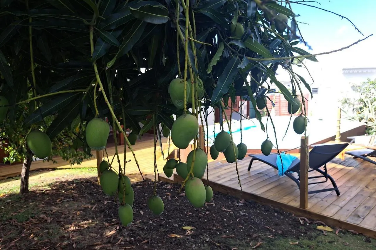 Villa La Plumeria Saint-Francois   Saint-Francois (Grande-Terre)